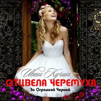 Иван Кучин - Отцвела черёмуха за оградкой чёрной