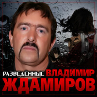 Владимир Ждамиров - Разведённые