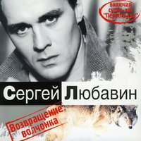 Сергей Любавин - Лебедь белая