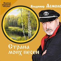 Владимир Асмолов - Бессонница